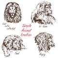 Lion Simple animal emotion set, with inscription, cool, calm, collected, in love, sad, angry Royalty Free Stock Photo