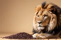 A lion sits near a handful of coffee beans on a beige background