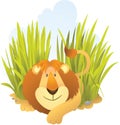 Lion sitting on the grass