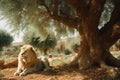 Lion sitting under Olive Tree in Jerusalem