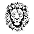 Lion. Sketchy, graphical, black and white portrait of a lions head on a white background.