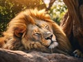 Ai Generated illustration Wildlife Concept of Lion sleeping