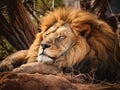 Ai Generated illustration Wildlife Concept of Lion sleeping