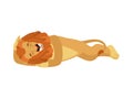 Lion sleeping. Wild animal asleep emotions. Beast. Vector illustration