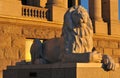 Lion of the State Capitol Building in Salt Lake City, Utah Royalty Free Stock Photo