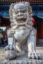 Lion statue in Beijing