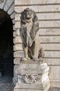 Lion Statue in the Buda castle royal palace. Budapest, Hungary.