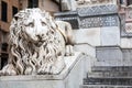 Lion Statue, Cathedral, Genoa