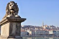 Lion Statue of Chain Bridge, Budapest Royalty Free Stock Photo