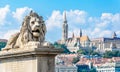 Lion statue on the Chain Bridge in Budapest. Danube river. Hungary. Royalty Free Stock Photo