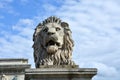 Lion statue on the Chain Bridge in Budapest Royalty Free Stock Photo