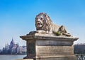 Lion statue on chain bridge in Budapest