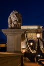 Lion statue on chain bridge Budapest Hungary at night. Royalty Free Stock Photo