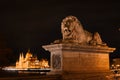 Lion statue on the Chain Bridge in Budapest - a landmark in the capital of Hungary at night with illumination Royalty Free Stock Photo