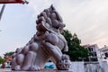 Lion statue in chaina temple. Royalty Free Stock Photo