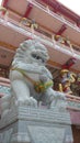 Lion statue in Chinese shrine, Chonburi,Thailand