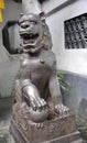 Lion statue from courtyard of the House from famous Yu Garden on downtown of Shanghai Royalty Free Stock Photo