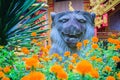 Lion statue at the entrance to the temple with yellow marigold flowers on tree foreground decoration. Royalty Free Stock Photo