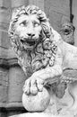 Lion statue Florence Tuscany italy Royalty Free Stock Photo