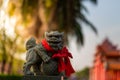 Lion statue in front of chinese temple on blurred background, Chinese New Year concept Royalty Free Stock Photo