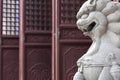 Lion statue in front of chinese temple Royalty Free Stock Photo