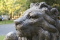 Lion statue inclining figure. Royalty Free Stock Photo