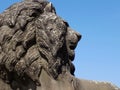 Lion statue outside St Georges Hall in Liverpool Royalty Free Stock Photo