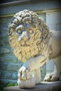 Lion statue (Peles Castle details) Royalty Free Stock Photo