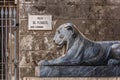 Lion Statue in Piazza del Plebiscito