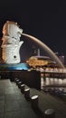 The Lion statue singapore Night time Royalty Free Stock Photo