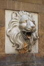 Lion statue spitting water Royalty Free Stock Photo
