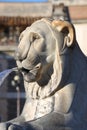 Lion statue spitting water Royalty Free Stock Photo