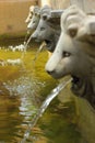 Lion statue spitting water Royalty Free Stock Photo