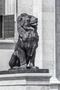 Monument of a lion near the Parliament building in Budapest