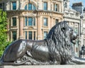 Lion statue of Trafalgar Square, London Royalty Free Stock Photo