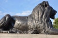 Lion Statue at Trafalgar Square in London Royalty Free Stock Photo