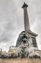 Lion Statue, Trafalgar Square, London, UK