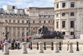 Lion statue in Trafalgar Square, London, UK Royalty Free Stock Photo
