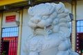 Lion statues