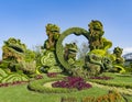 Lion Statues made out of plant at the MosaiCulture 2018 held at Jacques Cartier Park