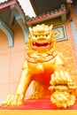 Lion statues, painted gold.(What about Religion, in Thailand, it is public).