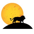 Lion sunset sunrise moon silhouette