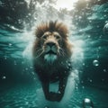 a lion swimming underwater in pool