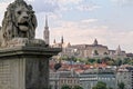 A lion of the Szechenyi Chain Bridge in Budapest, Hungary Royalty Free Stock Photo