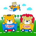 Lion and tiger