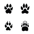 Lion, tiger, wolf, bear footprint