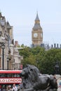 Lion in Trafalgar Square in London