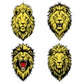 lion vector design on white background