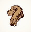 Lion. Vector drawing Royalty Free Stock Photo