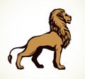 Lion. Vector drawing Royalty Free Stock Photo